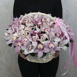 51 белая и розовая орхидея в корзине