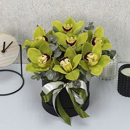 7 зеленых орхидей с эвкалиптом в коробке "Тропические бабочки мини"
