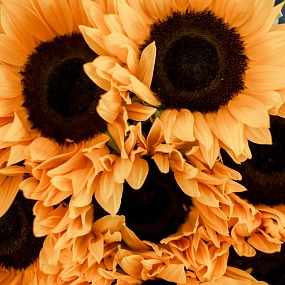 описание значения Букет из 9 подсолнухов