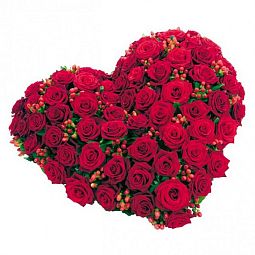 Композиция сердце из 101 красной розы (Россия)