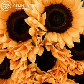 Букет из 9 подсолнухов в упаковке