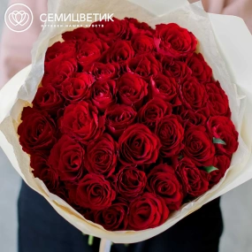 Букет из 41 красной розы 35-40 см (Кения) в кремовой пленке