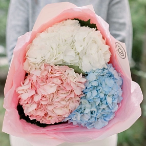 Букет из 3 гортензий микс в нежных тонах