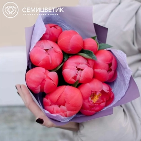 Букет из 9 коралловых пионов Coral Sunset Premium в сиреневой пленке