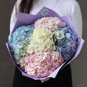 Современный букет  из 5 гортензий нежный микс
