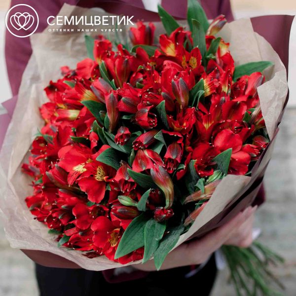 Букет из 25 красных альстромерий