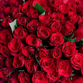 Букет из 101 красной розы (Кения) 40 см Standart
