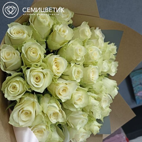 9 пионов XXL