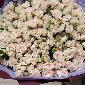 Букет из 51 кремовой кустовой розы 40 см (Кения)