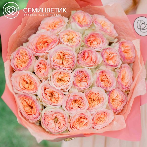 Букет из 25 персиковых пионовидных роз Flash Back 40 см