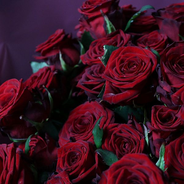 Букет роз сорта Red Naomi