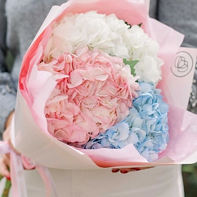 Букет из 3 гортензий микс в нежных тонах