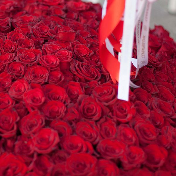 Композиция из 501 красной с темной каймой розы (Россия) 40 см в корзине