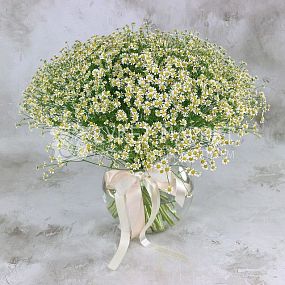 Букет из 51 ромашки