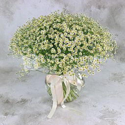 Букет из 51 ромашки