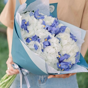 Букет из 3 белых гортензий и 10 синих ирисов в голубой пленке