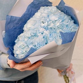 Букет из 3 голубых гортензий в белой пленке