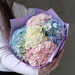 Современный букет  из 5 гортензий нежный микс