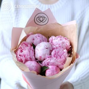 Букет из 7 розовых пионов Standart Plus