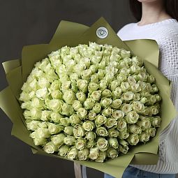 Шикарный букет  из 151 белой розы 40 см (Кения)