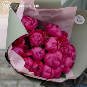 Букет из 15 ярко-розовых пионов Standart Plus в зеленой пленке