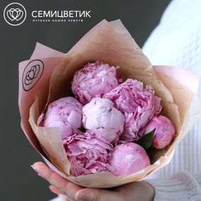 Букет из 7 розовых пионов Standart Plus
