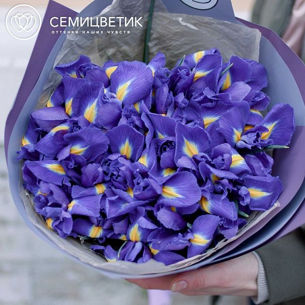 Букет из 25 синих ирисов