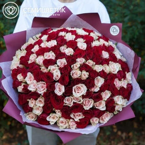Букет из 151 красной и нежно-розовой розы 40 см (Кения) в бордовой пленке
