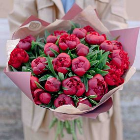 Букет из 25 бордовых пионов Standart