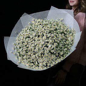 Букет полевых ромашек