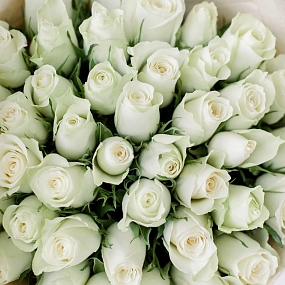41 белая роза (Кения) 40 см Standart