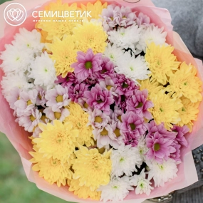 Букет из 11 кустовых хризантем микс в розовой пленке