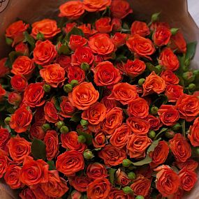 Современный букет  из 23 оранжевых кустовых роз 40 см (Кения)