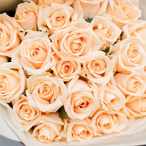 25 кремовых роз (Россия) 40 см Пич Аваланш