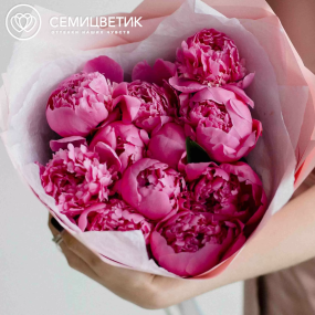 Букет из 11 ярко-розовых пионов Standart Plus в розовой пленке