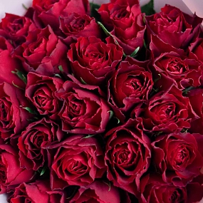 25 красных роз (Кения) 40 см Standart