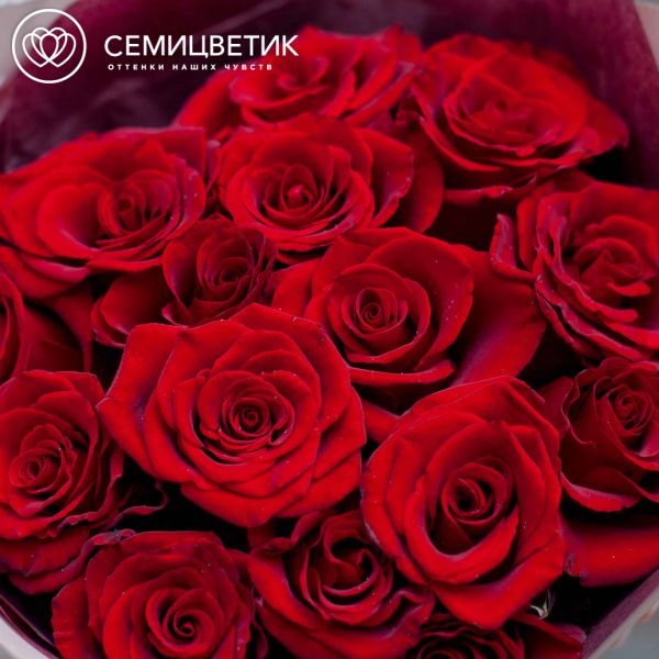 Букет из 15 красных с темной каймой роз (Россия) 40 см
