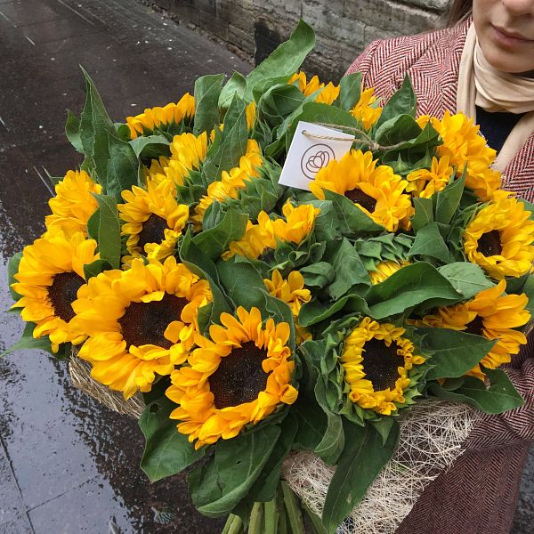 Букет из 25 подсолнухов
