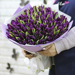 Букет «101 фиолетовый тюльпан в упаковке»