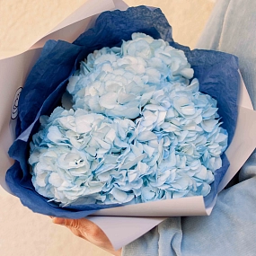 Букет из 3 голубых гортензий в белой пленке