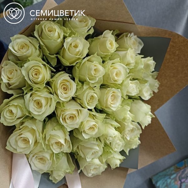 9 пионов XXL