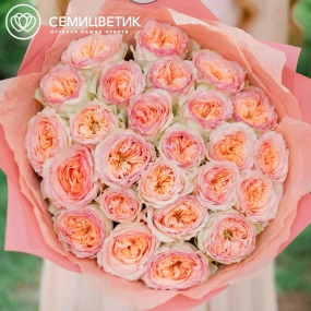 Букет из 25 персиковых пионовидных роз Flash Back 40 см в розовой пленке