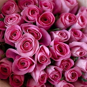 41 розовая роза (Кения) 40 см Standart