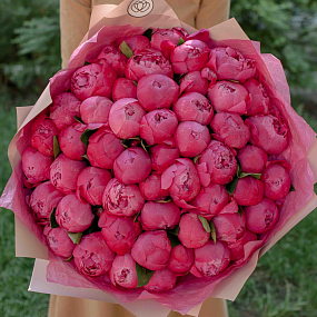 Букет из 51 ярко-розового пиона Premium в розовой пленке