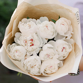 Букет из 9 нежно-розовых пионов Standart в кремовой пленке