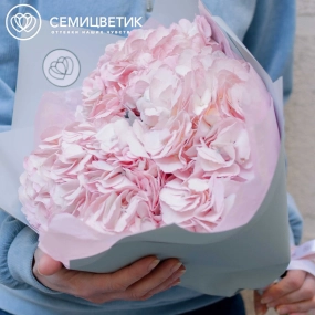 Букет из 3 розовых гортензий в белой пленке