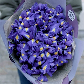 Букет из 35 синих ирисов