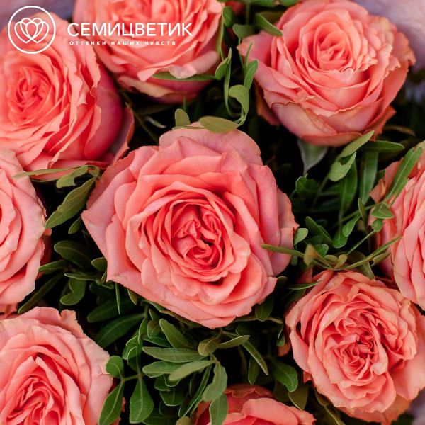 Букет из 9 пионовидных роз Wild Love с фисташкой