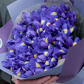 Букет из 35 синих ирисов