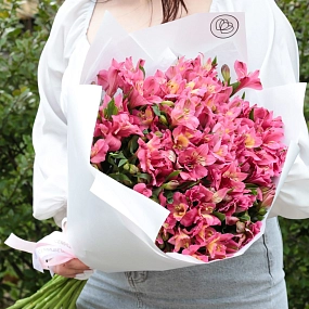 Букет из 23 малиновых альстромерий в белой пленке
